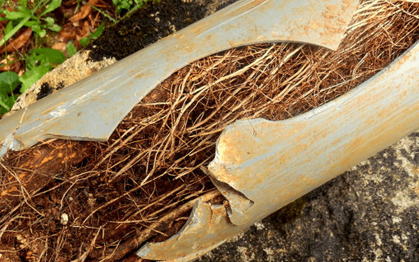 Blocked pipes and drains