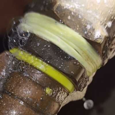 leaking gas pipe in Tarneit